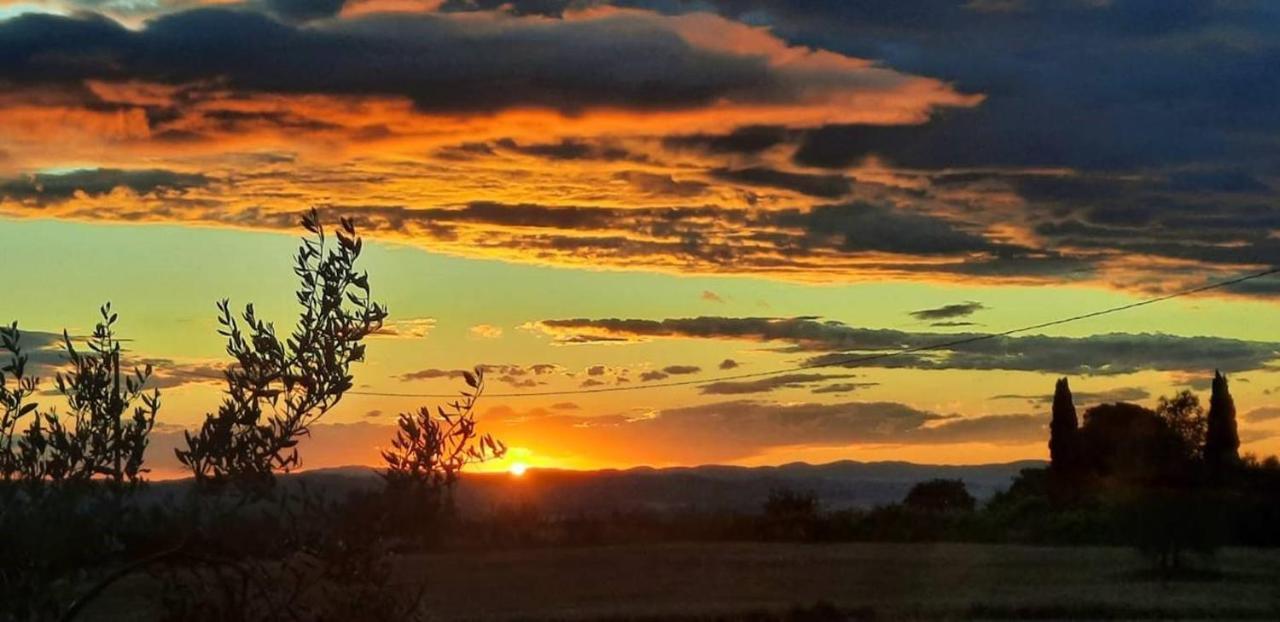 La Palazzina In Val D'Orcia Βίλα Radicofani Εξωτερικό φωτογραφία